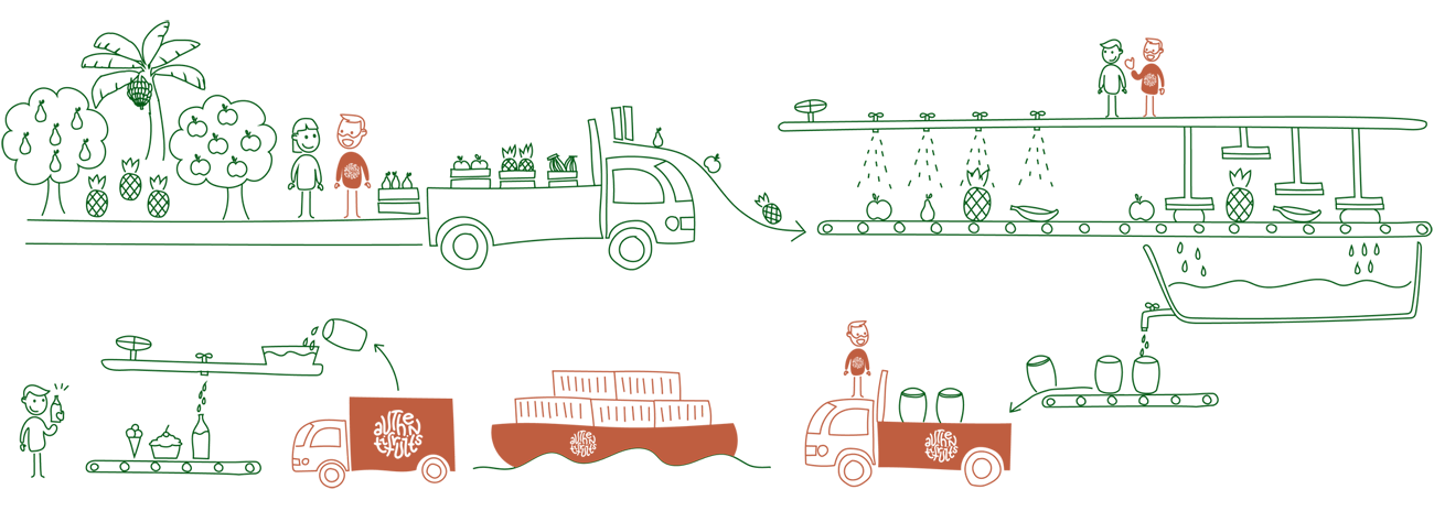 Schema du process Authentifruits